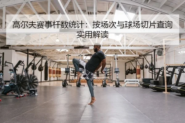 高尔夫赛事杆数统计：按场次与球场切片查询实用解读