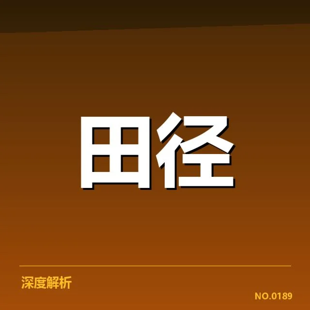 已确定参赛队伍与赛程安排